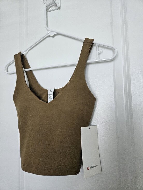 lululemon athletica Tops - NWT Lululemon Align Tank Size 2 A/B cups All Spice